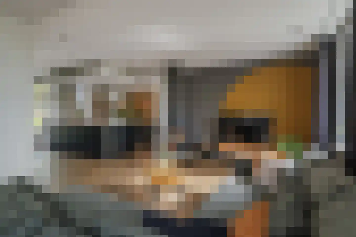 Elsbosweg 89 Klarenbeek thumbnail 20