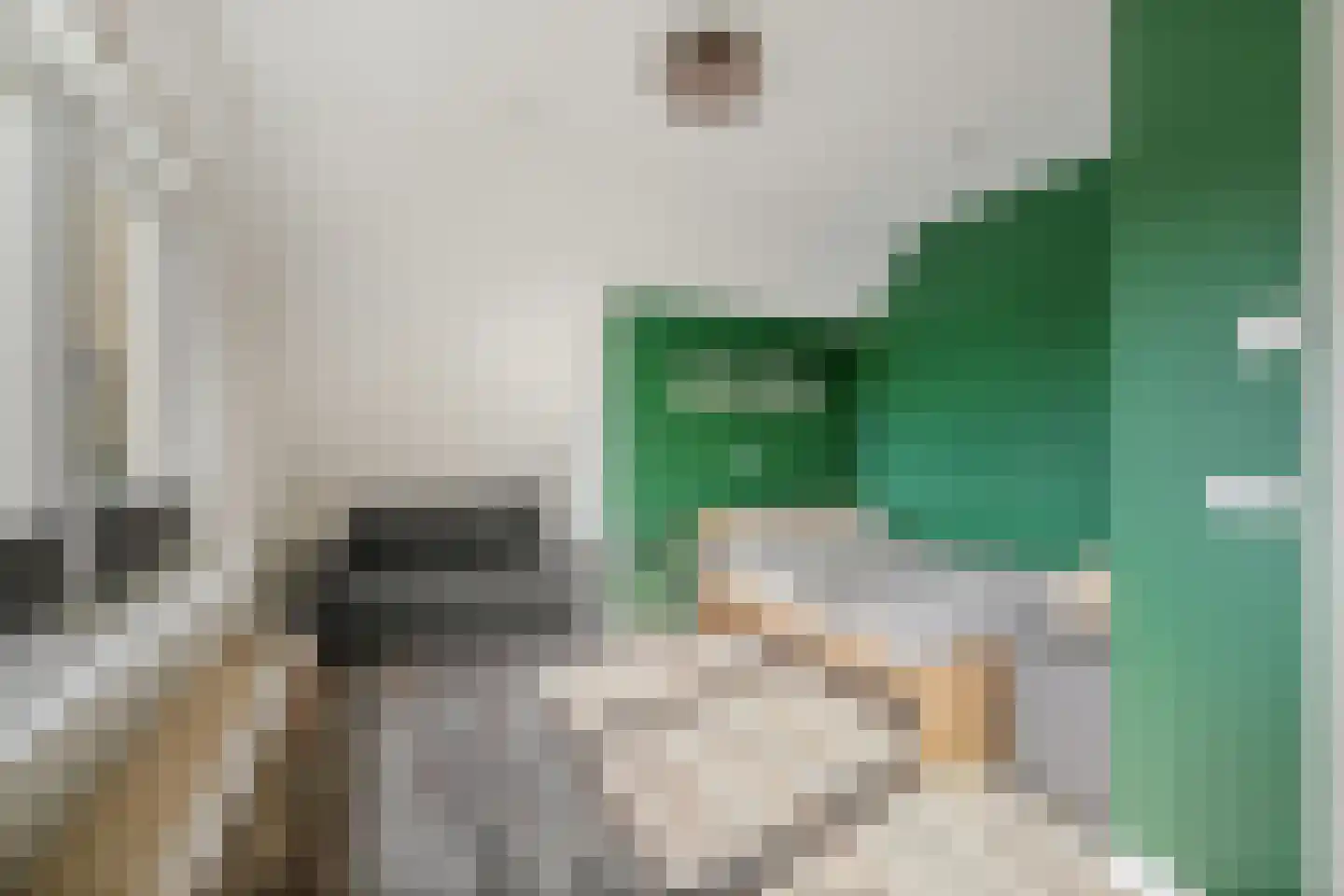 Elsbosweg 89 Klarenbeek thumbnail 27