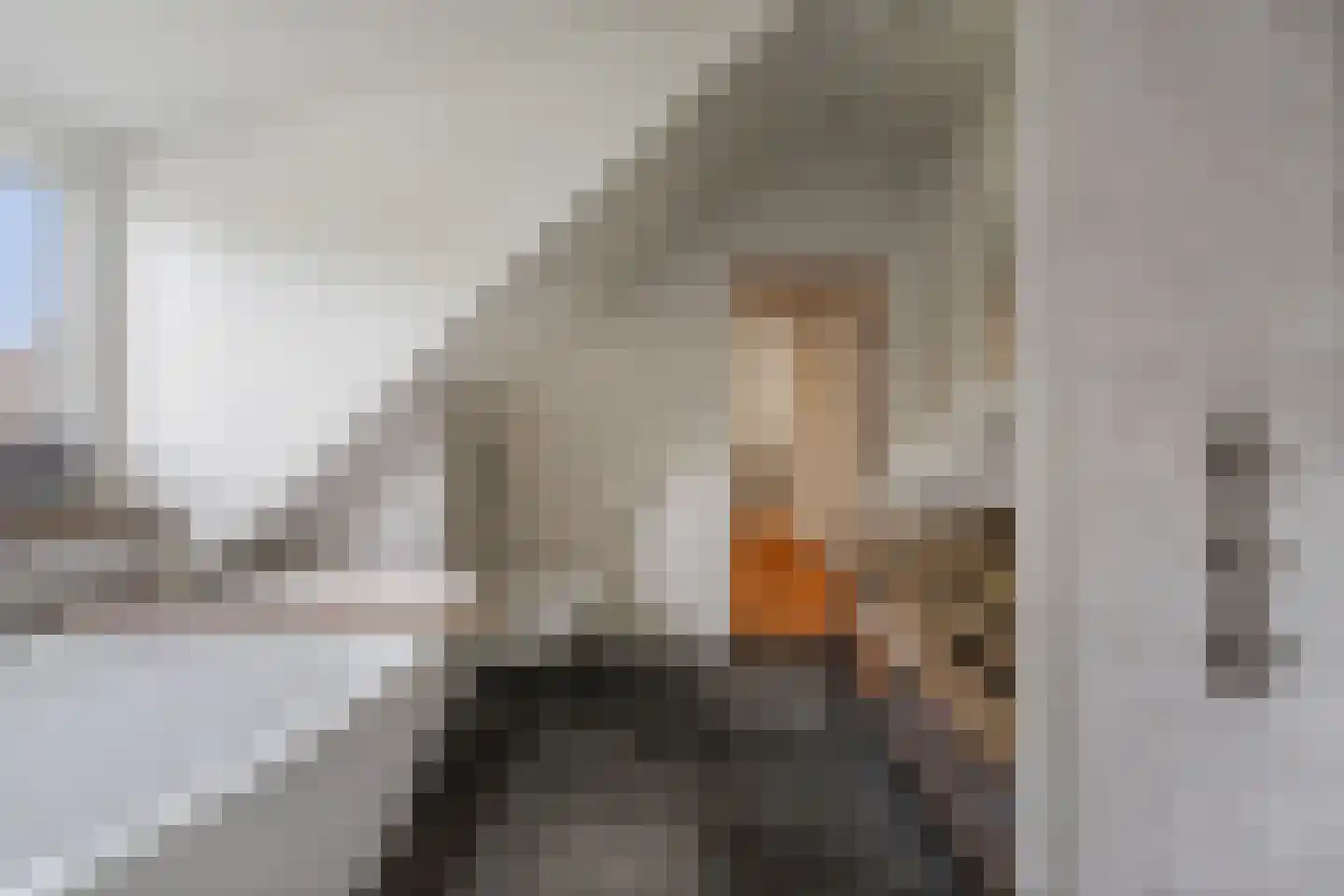 Elsbosweg 89 Klarenbeek thumbnail 31