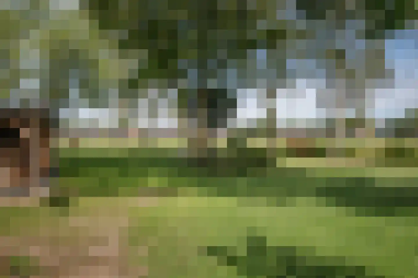 Elsbosweg 89 Klarenbeek thumbnail 32
