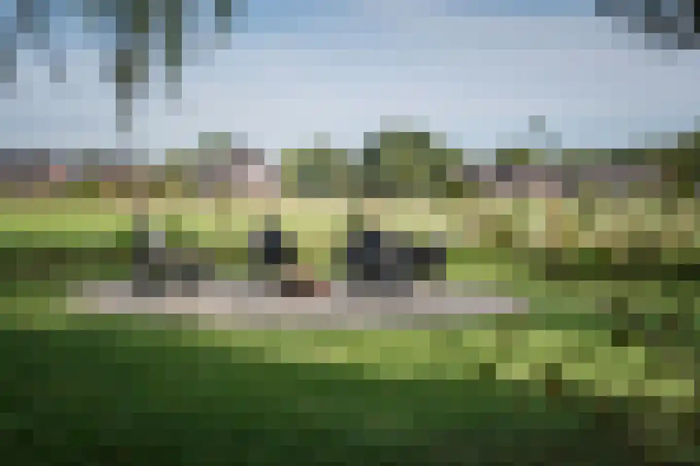 Elsbosweg 89 Klarenbeek thumbnail 33