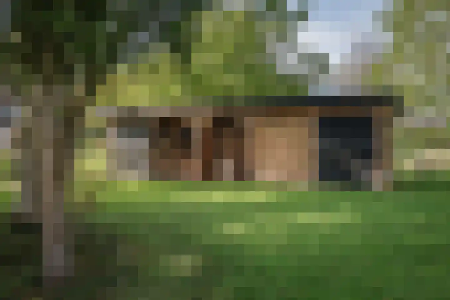 Elsbosweg 89 Klarenbeek thumbnail 34