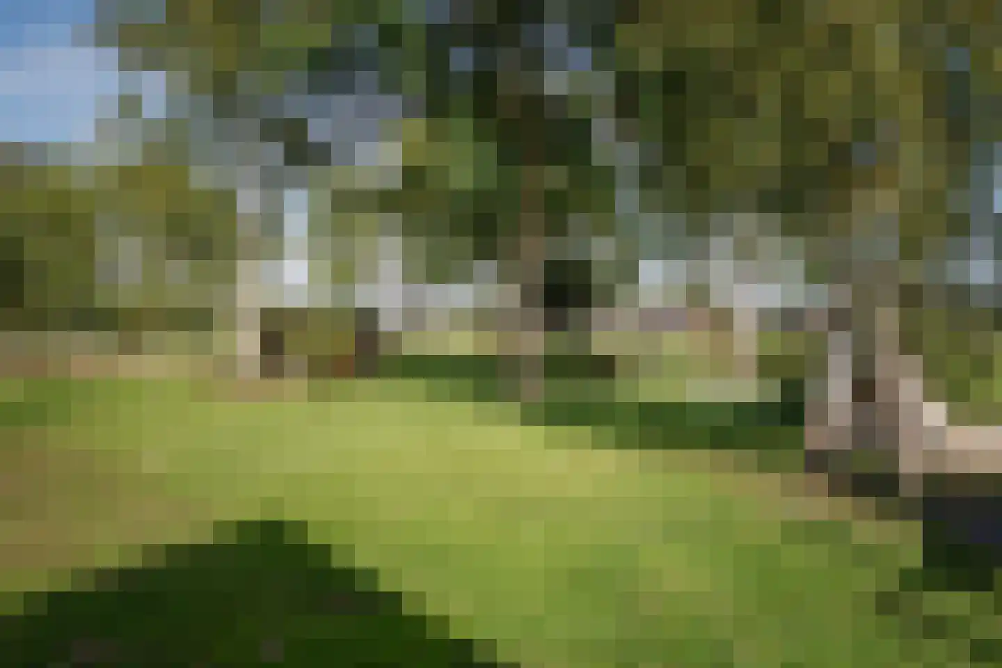 Elsbosweg 89 Klarenbeek thumbnail 35