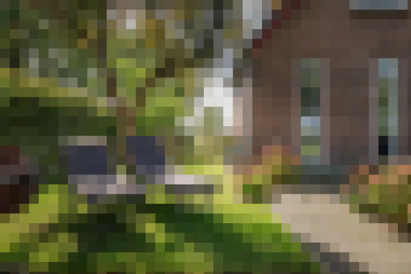Elsbosweg 89 Klarenbeek thumbnail 36