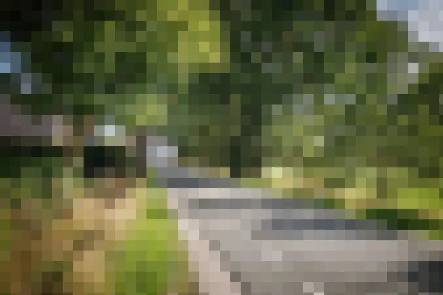 Elsbosweg 89 Klarenbeek thumbnail 38