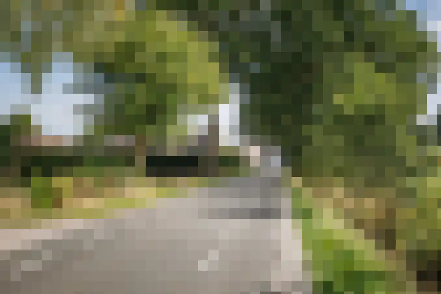 Elsbosweg 89 Klarenbeek thumbnail 39