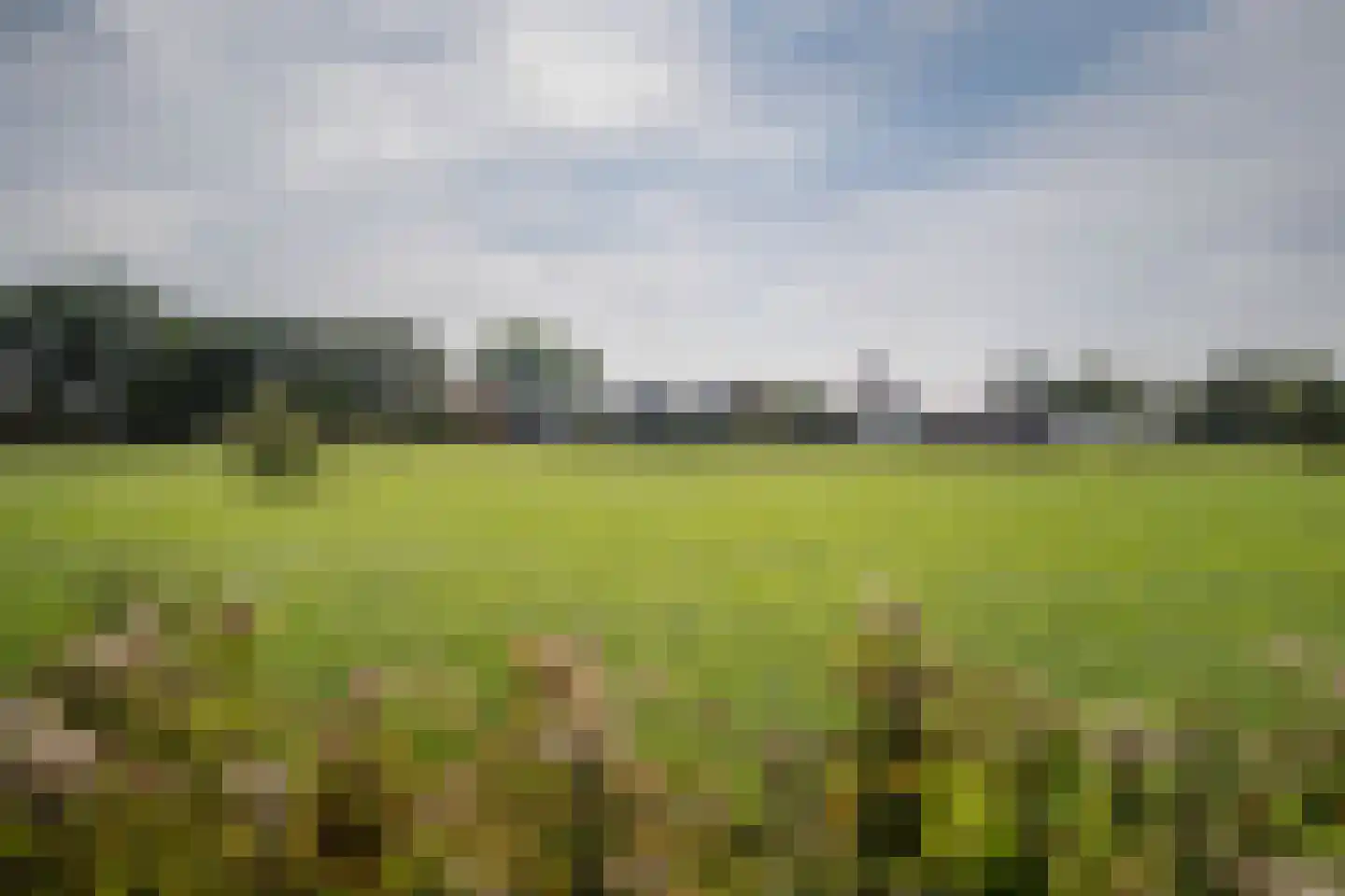 Elsbosweg 89 Klarenbeek thumbnail 40