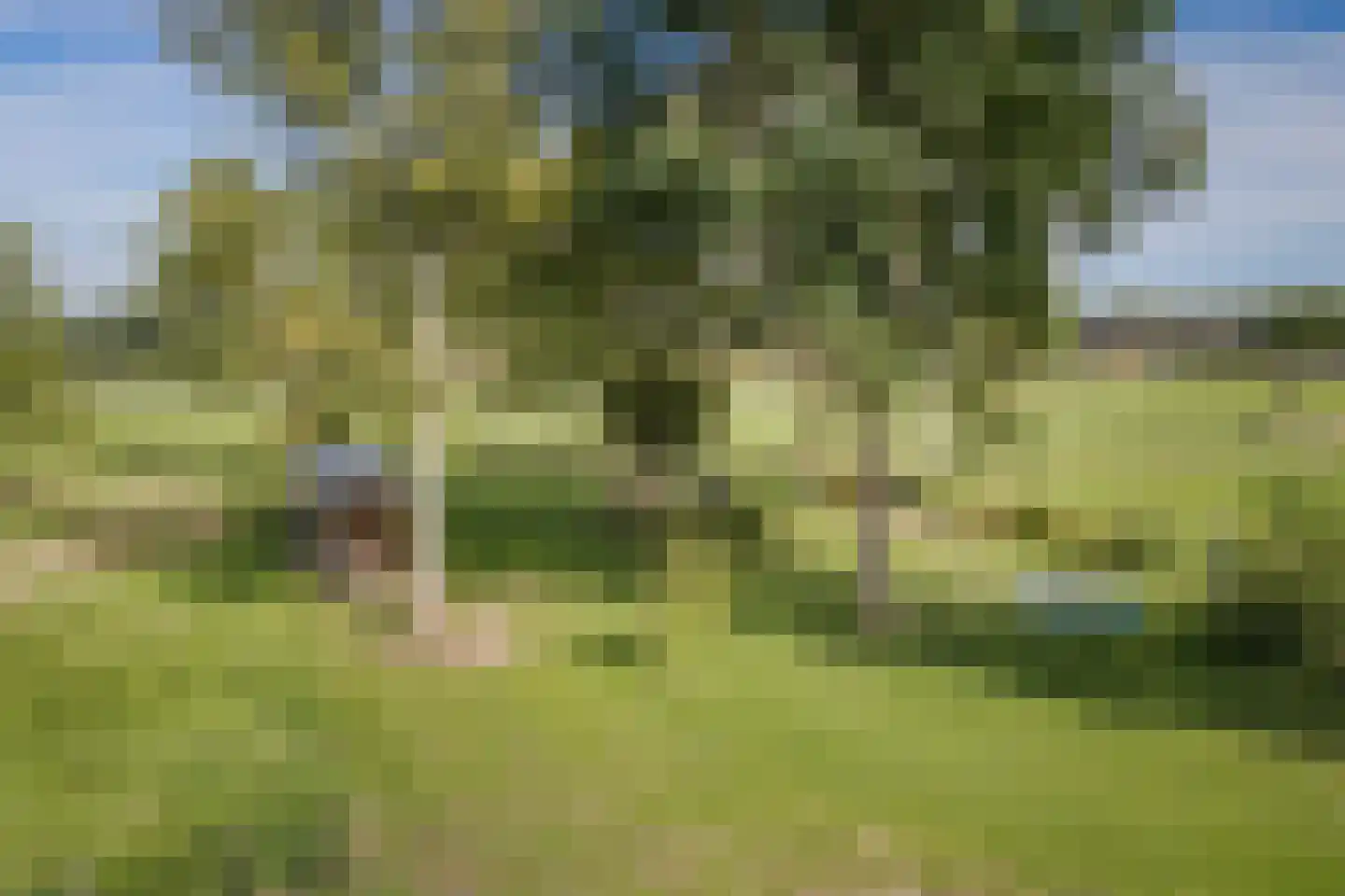 Elsbosweg 89 Klarenbeek thumbnail 41