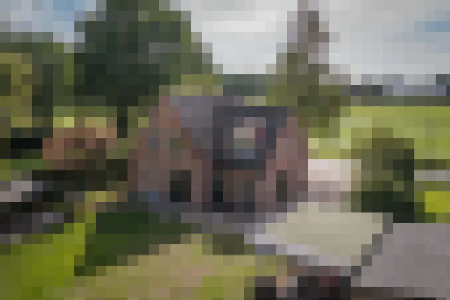 Elsbosweg 89 Klarenbeek thumbnail 42