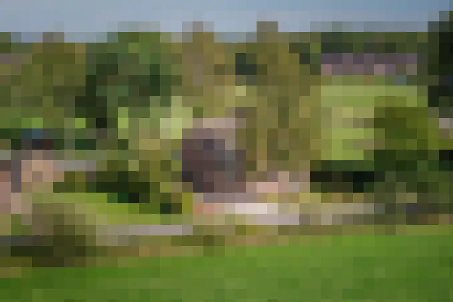 Elsbosweg 89 Klarenbeek thumbnail 43