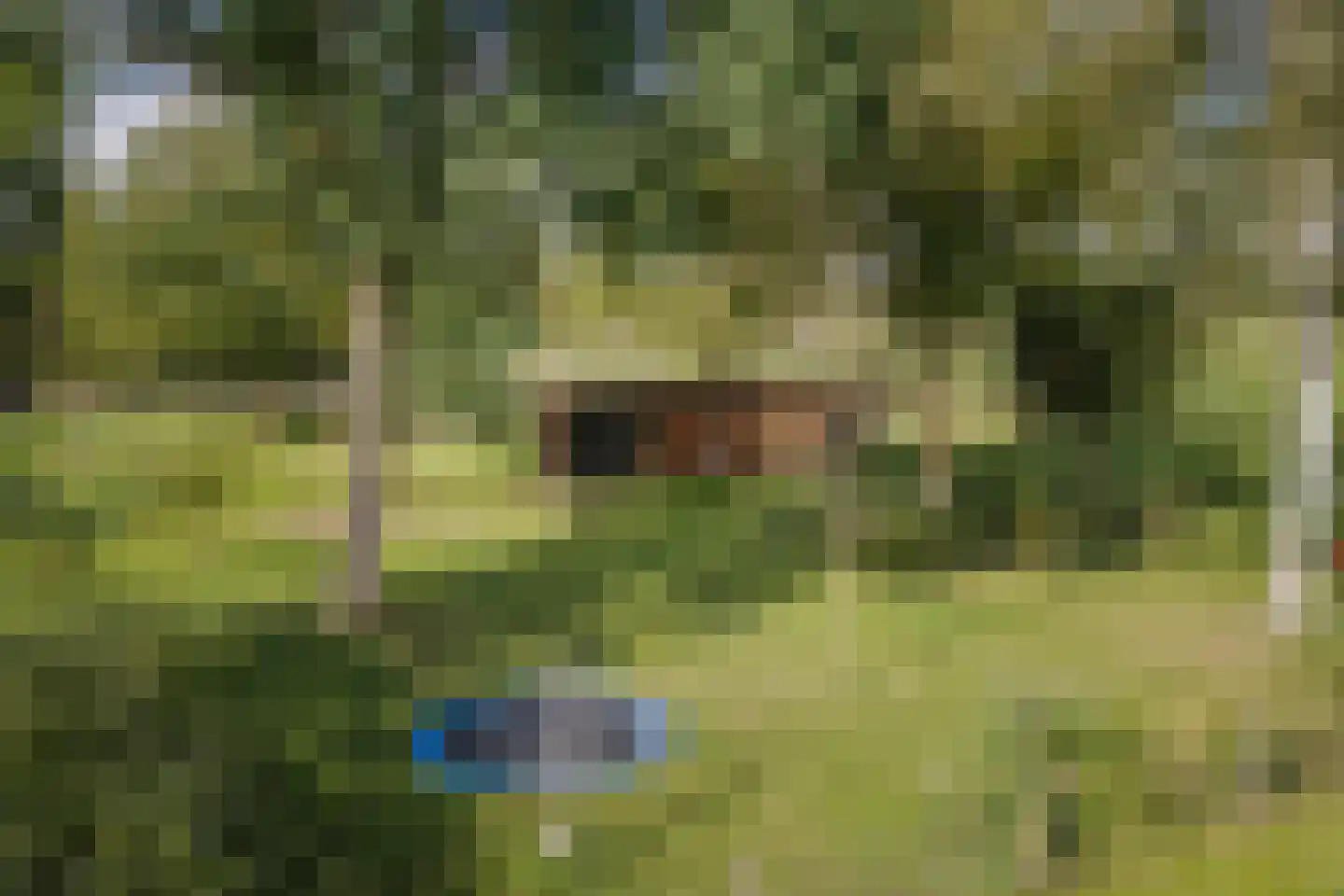 Elsbosweg 89 Klarenbeek thumbnail 44