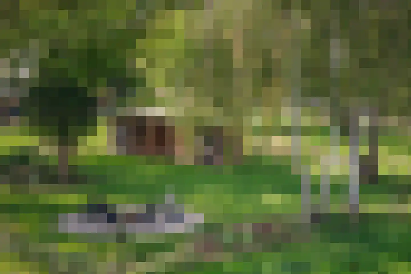 Elsbosweg 89 Klarenbeek thumbnail 45