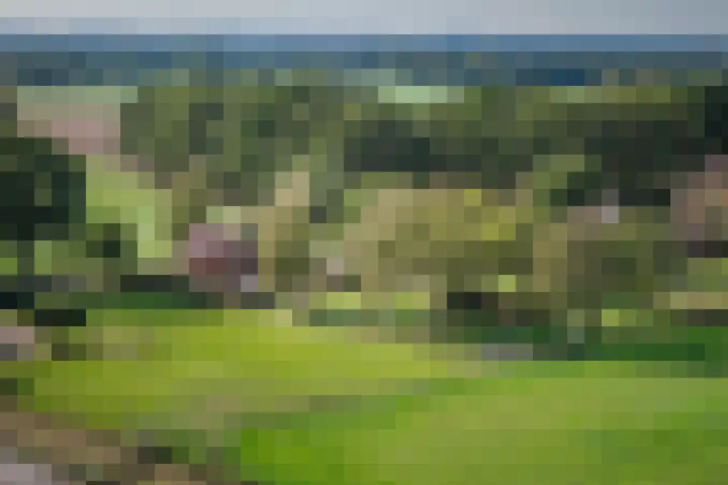 Elsbosweg 89 Klarenbeek thumbnail 46
