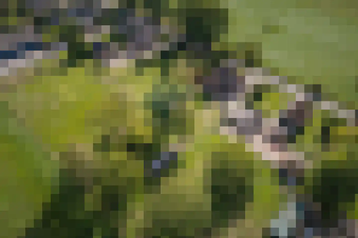 Elsbosweg 89 Klarenbeek thumbnail 47