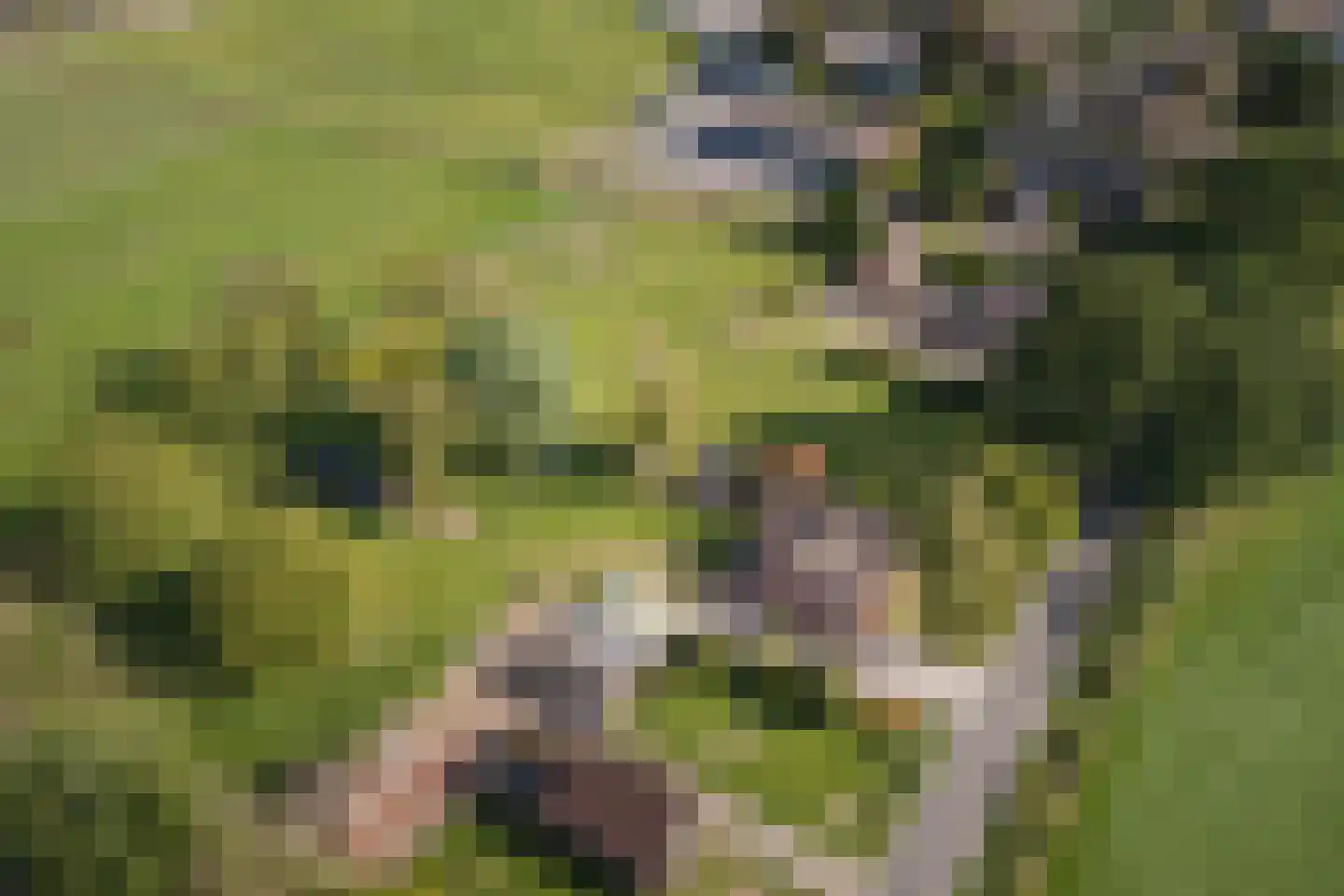 Elsbosweg 89 Klarenbeek thumbnail 48