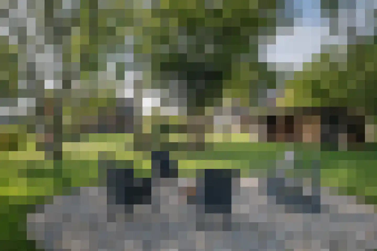 Elsbosweg 89 Klarenbeek thumbnail 5