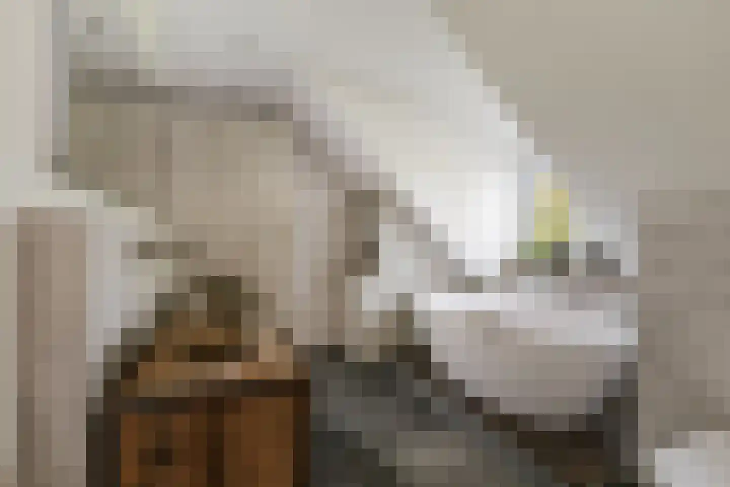 Elsbosweg 89 Klarenbeek thumbnail 8