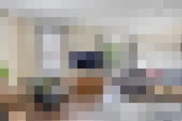 Elsbroekerlaan 13 Hillegom thumbnail 10