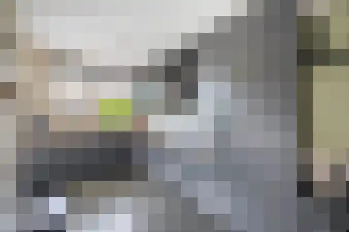 Elsbroekerlaan 13 Hillegom thumbnail 14