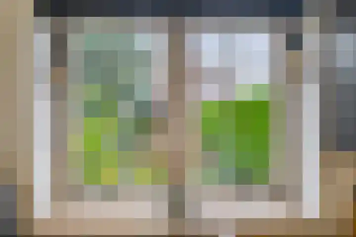 Elsbroekerlaan 13 Hillegom thumbnail 17