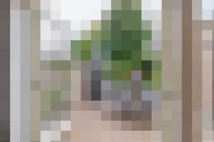 Elsbroekerlaan 13 Hillegom thumbnail 19