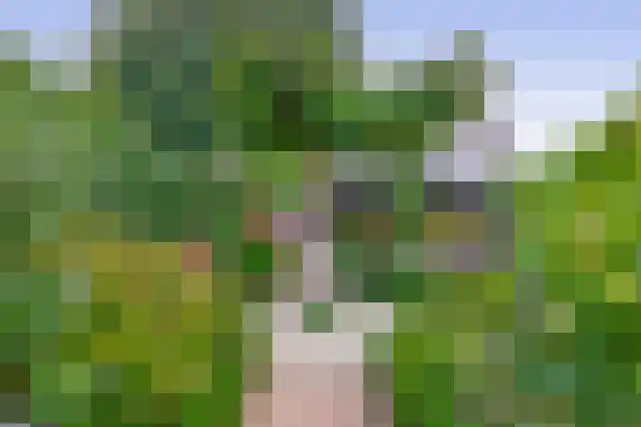 Elsbroekerlaan 13 Hillegom thumbnail 21