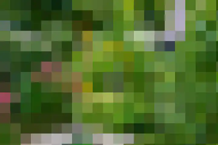 Elsbroekerlaan 13 Hillegom thumbnail 22
