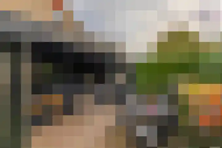 Elsbroekerlaan 13 Hillegom thumbnail 24