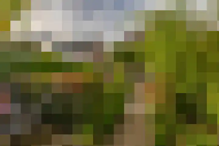 Elsbroekerlaan 13 Hillegom thumbnail 25