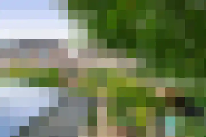 Elsbroekerlaan 13 Hillegom thumbnail 26