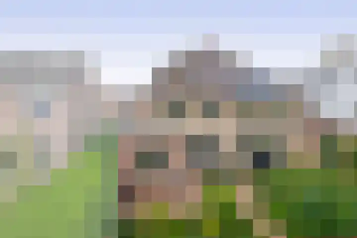 Elsbroekerlaan 13 Hillegom thumbnail 28