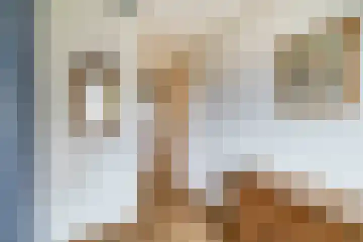 Elsbroekerlaan 13 Hillegom thumbnail 38