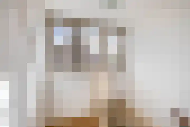 Elsbroekerlaan 13 Hillegom thumbnail 41