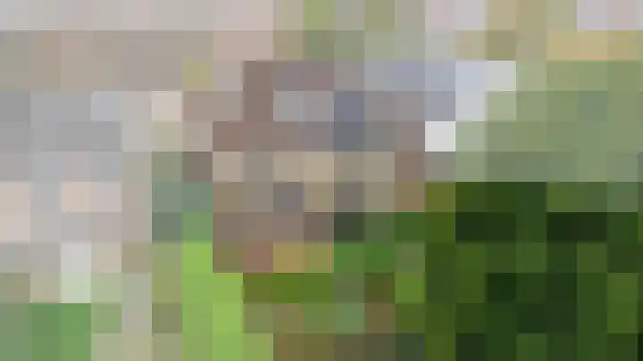 Elsbroekerlaan 13 Hillegom thumbnail 47