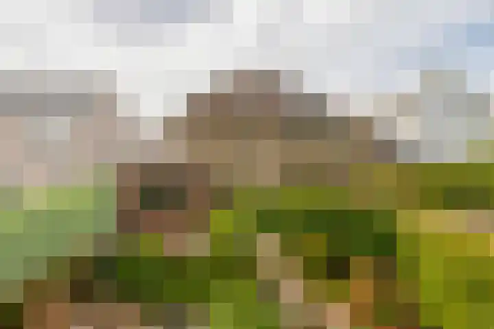 Elsbroekerlaan 13 Hillegom thumbnail 49