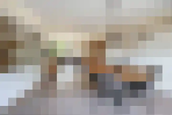 Elsbroekerlaan 13 Hillegom thumbnail 8