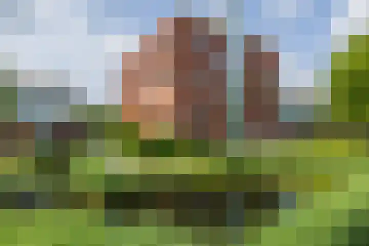 Elsbroekerlaan 25 Hillegom foto 2