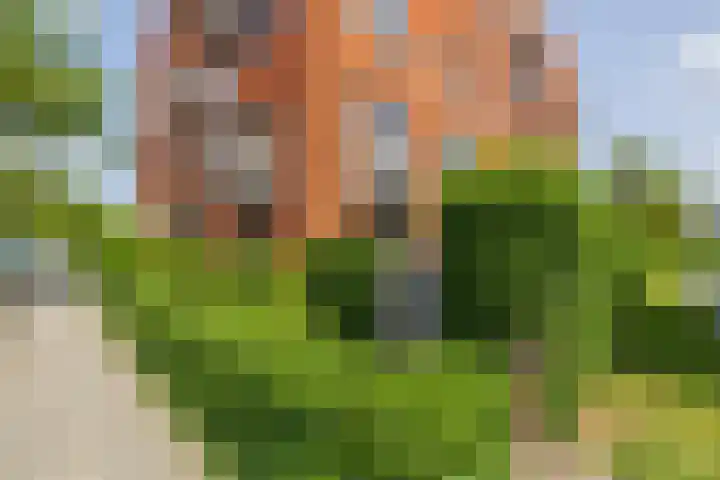 Elsbroekerlaan 25 Hillegom thumbnail 30