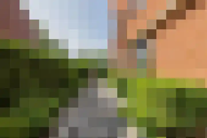 Elsbroekerlaan 25 Hillegom thumbnail 31