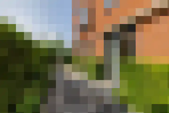 Elsbroekerlaan 25 Hillegom thumbnail 32