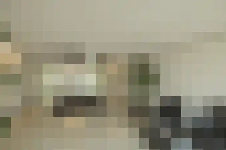 Elsbroekerlaan 25 Hillegom thumbnail 34