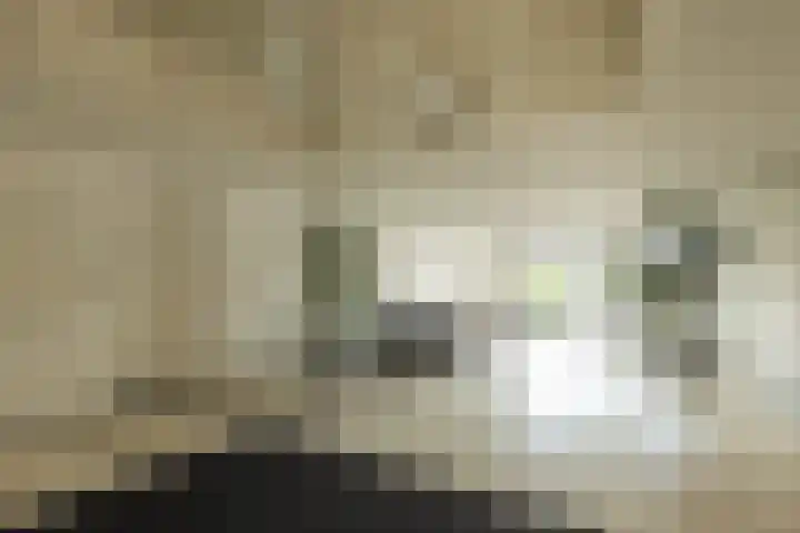 Elsbroekerlaan 25 Hillegom thumbnail 35
