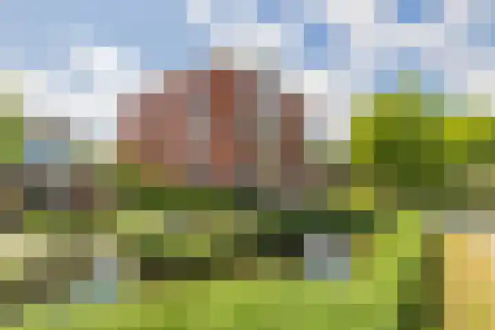 Elsbroekerlaan 45 Hillegom thumbnail 29