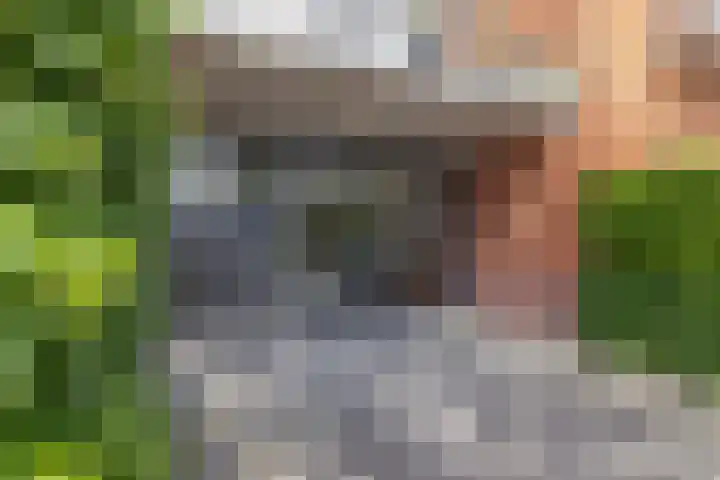 Elsbroekerlaan 45 Hillegom thumbnail 5