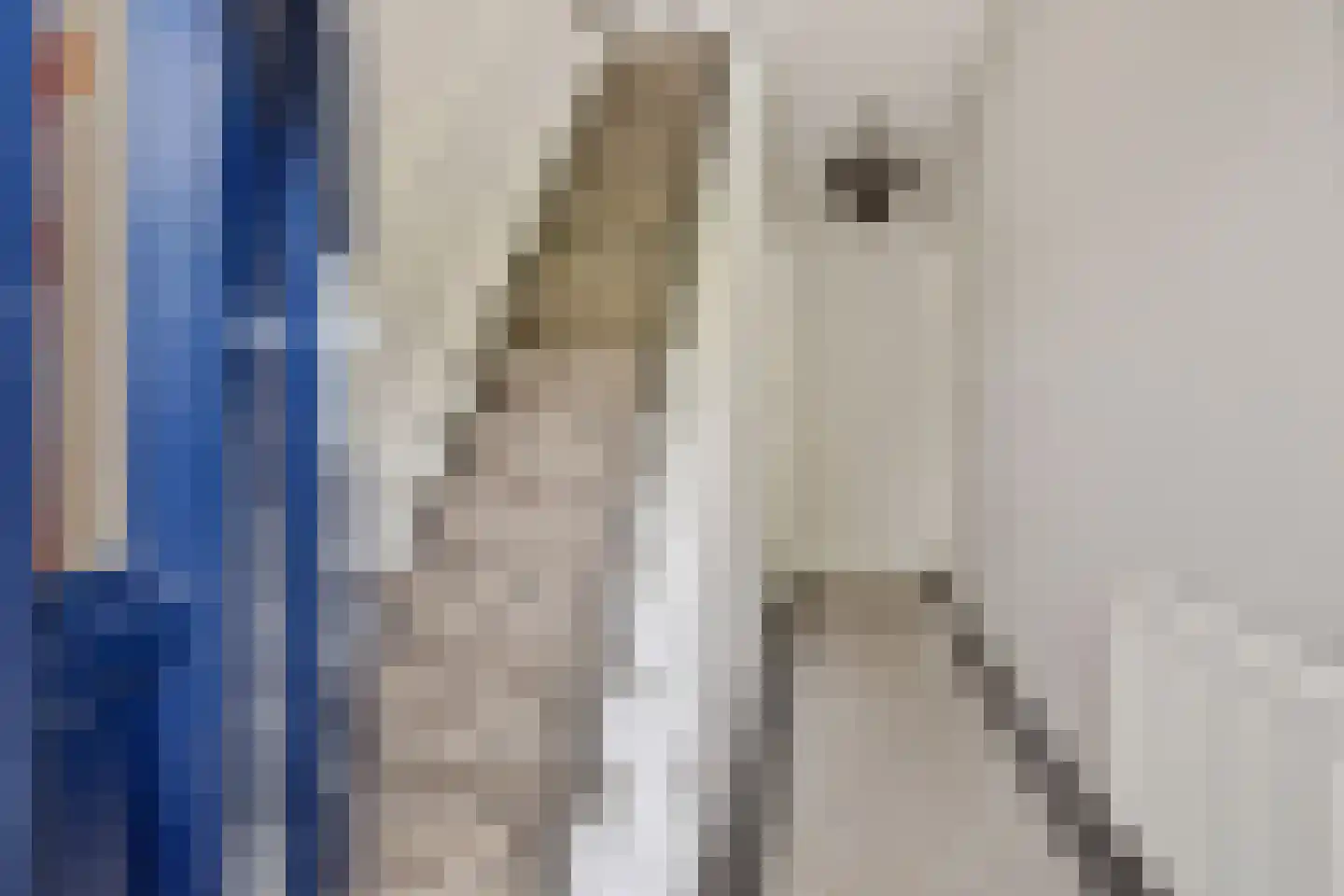 Elsbroekerlaan 7 Hillegom thumbnail 21