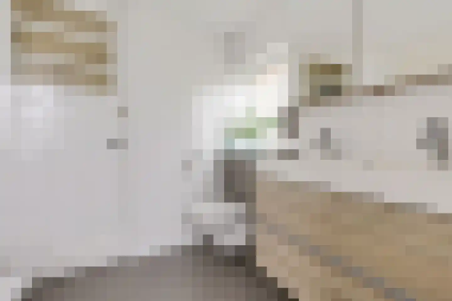 Elsbroekerlaan 7 Hillegom thumbnail 27