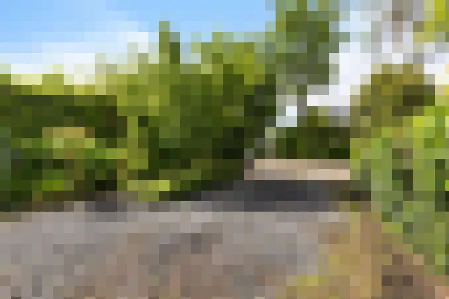 Elsbroekerlaan 7 Hillegom thumbnail 6