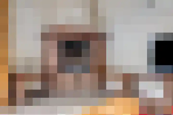 Elsdonk 9 Bavel thumbnail 6