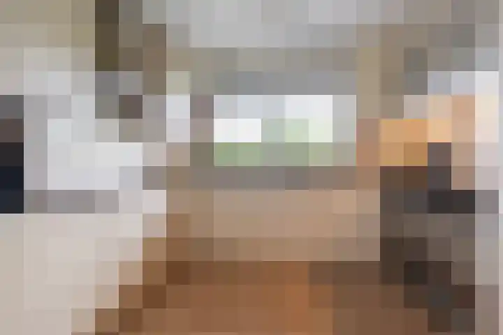 Else Mauhslaan 113 Den Haag thumbnail 10