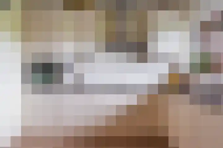 Else Mauhslaan 113 Den Haag thumbnail 11